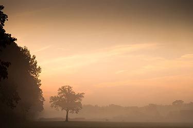 Fotocursus Basis les 5