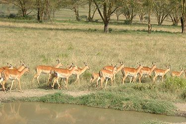 Fotocursus Basis les 7