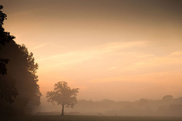 Fotocursus Verdieping Achterhoek