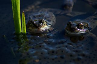 Foto cursist Fotocursus verdieping