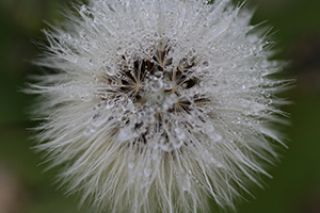 Foto cursist Fotocursus verdieping